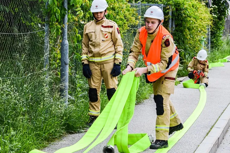 dsc_7379.jpg